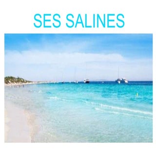 Ses salines
