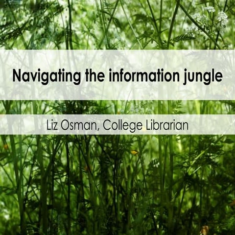Navigating the Information Jungle