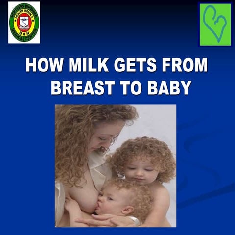 Session-6.-How-milk-gets-to-babyNMMC.pptx