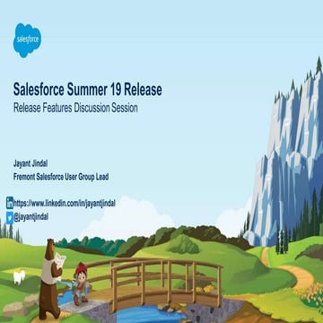 Salesforce-Summer 19 Release