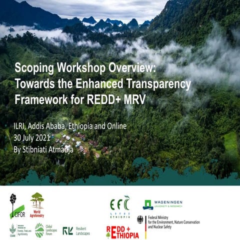 Scoping Workshop Overview:  Towards the Enhanced Transparency  Framework for ...