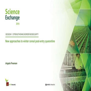 Session 1:  New approaches to winter cereal post-entry quarantine