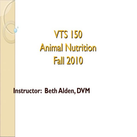Orientation & Animal Classifications
