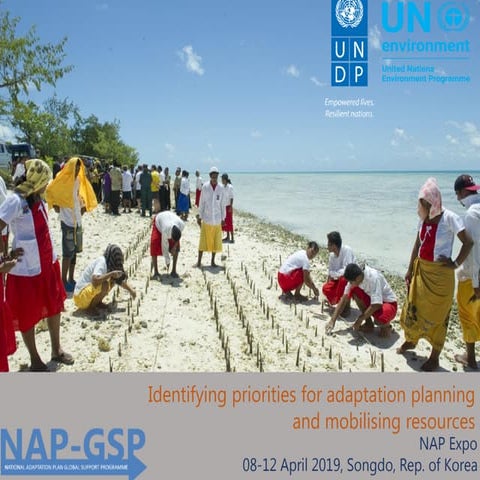 2.1 Identifying national gaps and needs and developing a problem tree 