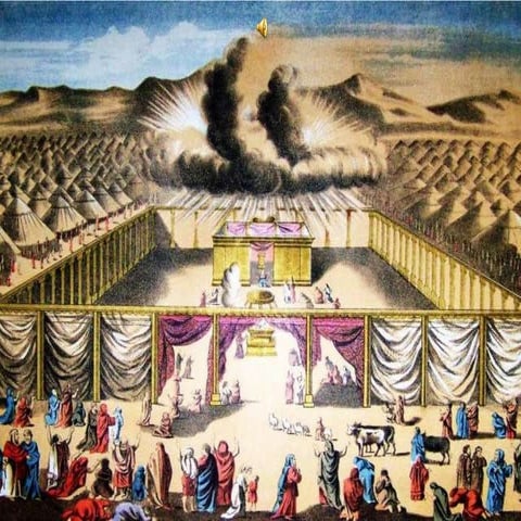 PPT - Tsunami Vs. Storm Surge