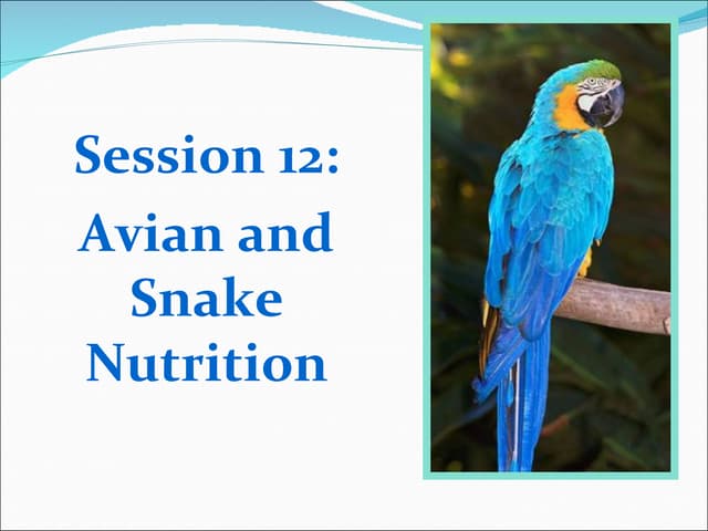 Avian and Snake Nutrition