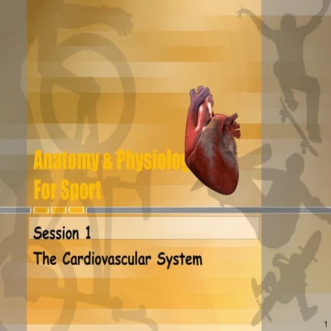 Heart lesson | PPT