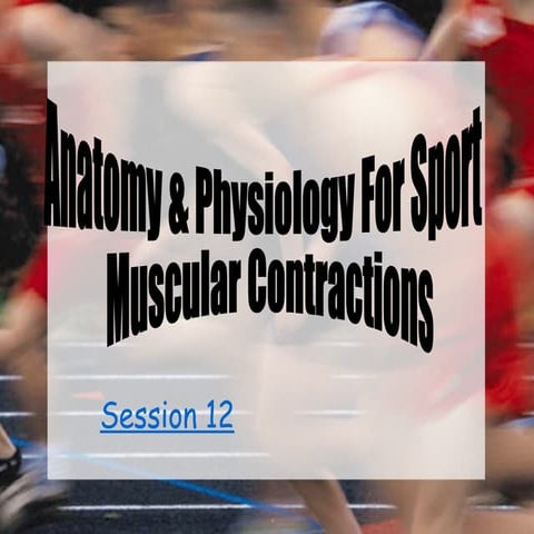 Session 12 (muscle contractions)