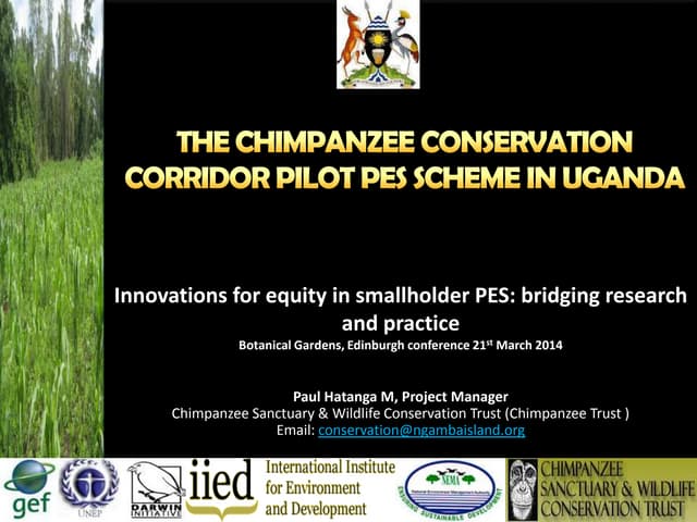 The chimpanzee conservation corridor pilot PES scheme in Uganda