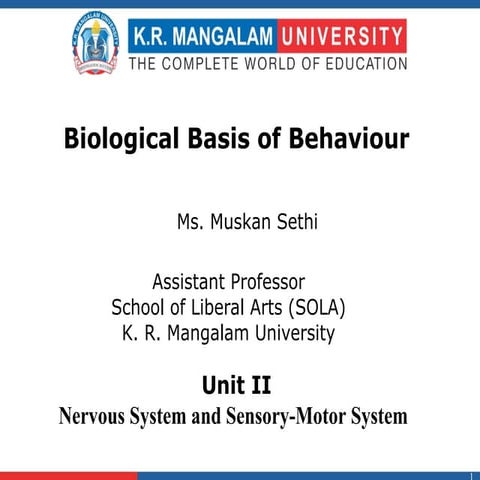 Session 15 Attention and Sensorimotor Integration.ppt
