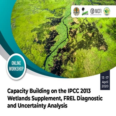 Peat emission factors: Navigating the IPCC wetland supplement