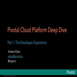 Pivotal CenturyLink Cloud Platform ...