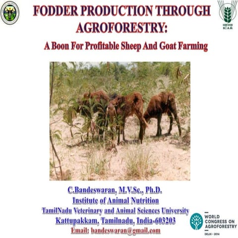 Session 2.3 fodder production thro agrofrestry