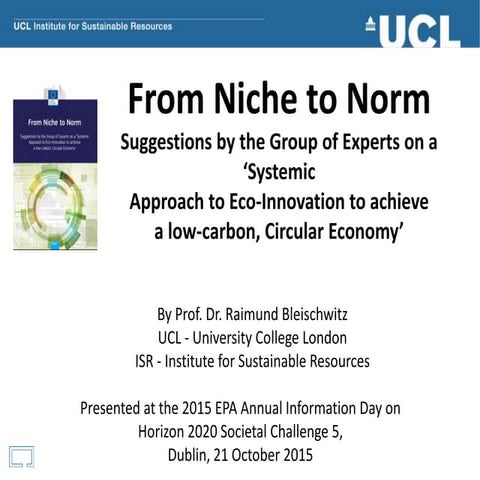 Expert Group Report: From Niche to Norm – Raimund Bleischwitz