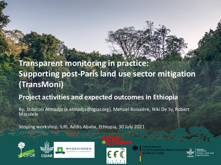 thumbnail of  Transparent monitoring in practice: Supporting post-Paris land use sector mitigation (TransMoni)