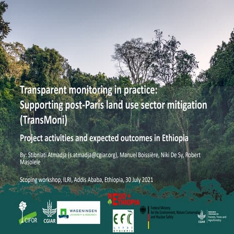 Transparent monitoring in practice: Supporting post-Paris land use sector mit...