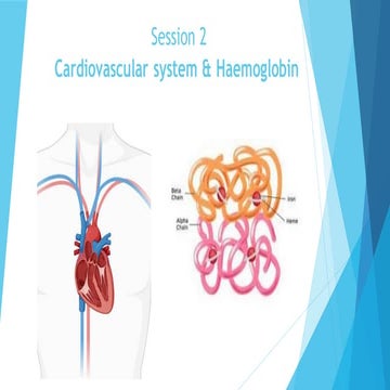 Cardiovascular and Circulatory System notes | PPT