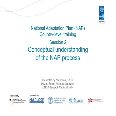 NAP Training Viet Nam - Session 2 Conceptual Understanding of the NAP Process