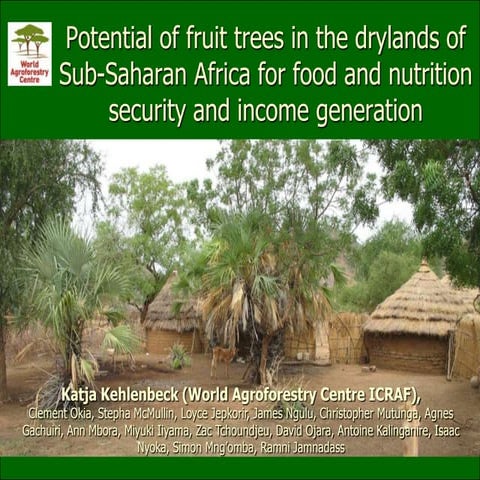 Session 3.3 potential of fruit trees in the drylands   katja