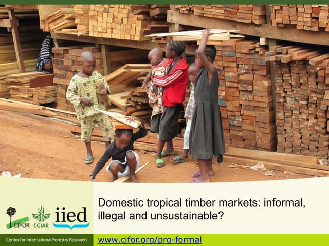 Domestic tropical timber markets: i...