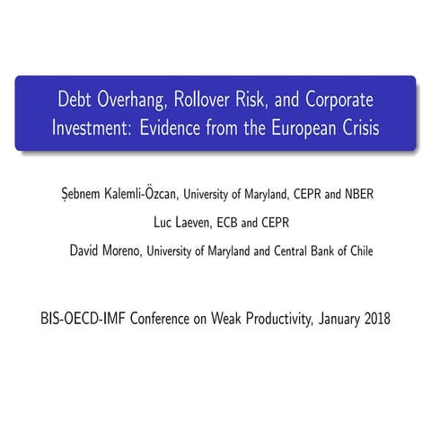 Sebnem Kalemli Özcan - Debt Overhang, Rollover Risk, and Corporate Investment...