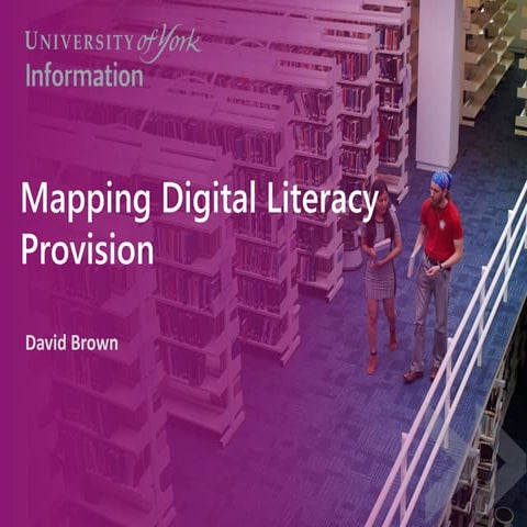 Mapping digital literacy provision