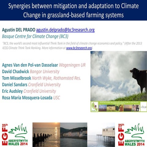 Synergies between mitigation and adaptation to Climate Change in grassland-ba...