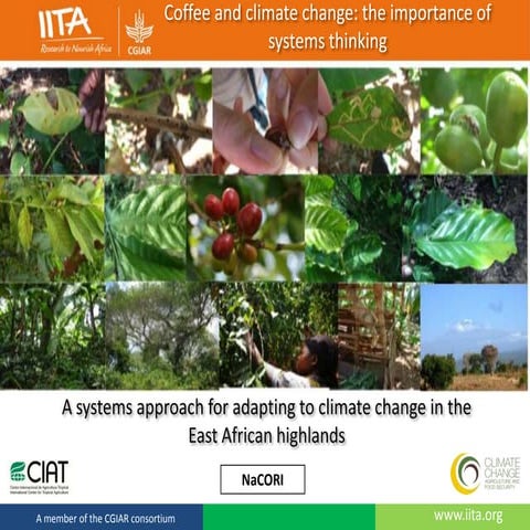 Session 5.1 Coffee and climate change: The importance of systems thinking