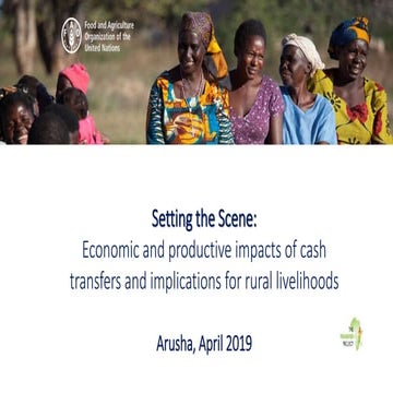 Economic & Productive Impacts of Cash Transfers & Implications for Rural Live...