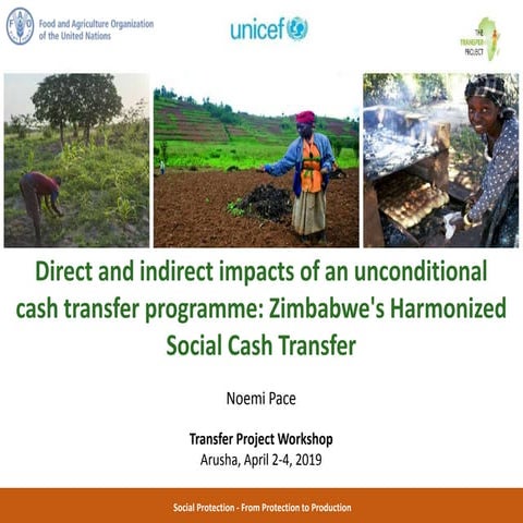 Direct & Indirect Impacts of an Unconditional Cash Transfer Programme: Zimbab...