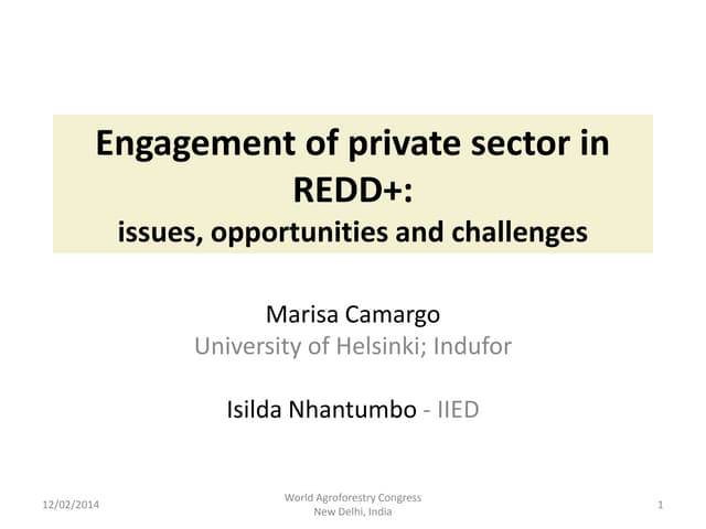 Session 6.1 Marissa camargo   redd private sector