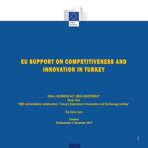 Session 6: EU support on competitiveness and innovation in Turkey