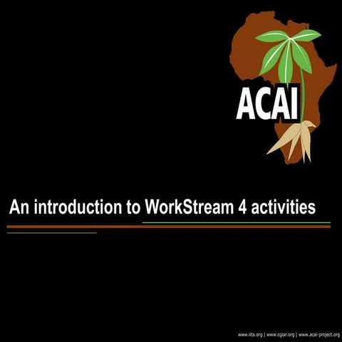 Session 6 1 ACAI Work Stream 4 introduction