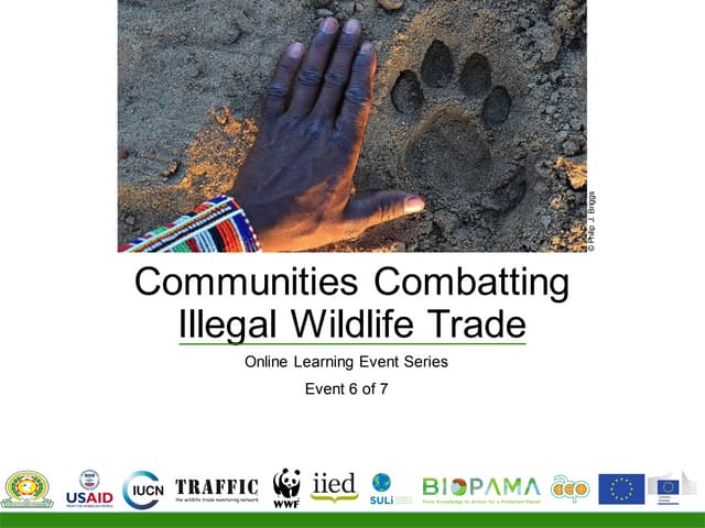 Communities Combating Illegal Wildlife Trade session six