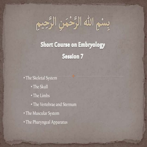 Embryology Course VII - Musculoskeletal System, Pharyngeal Apparatus