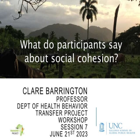 What Do Participants Say About Social Cohesion?