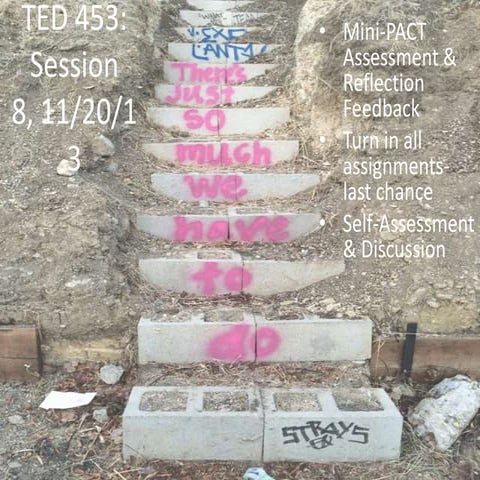 TED 453 Session 8