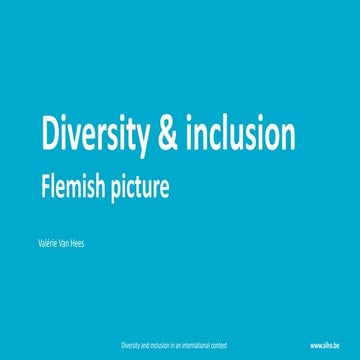 Task Force Diversity and Inclusion PLA - Flemish perspective