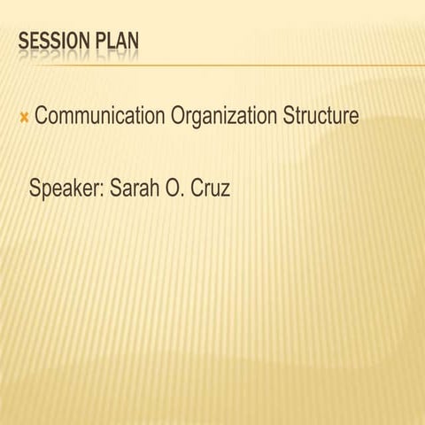 Organizational Structure(Sarah Olivarez-Cruz)
