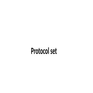 set.pptx about the set protocol in security | PPTX
