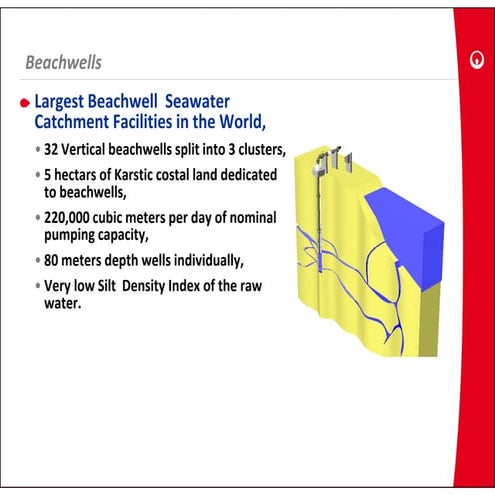Setawwa   2010, 29-58 choules