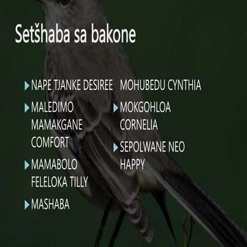 SETŠHABA SA BAKONE AFT 121.pptx