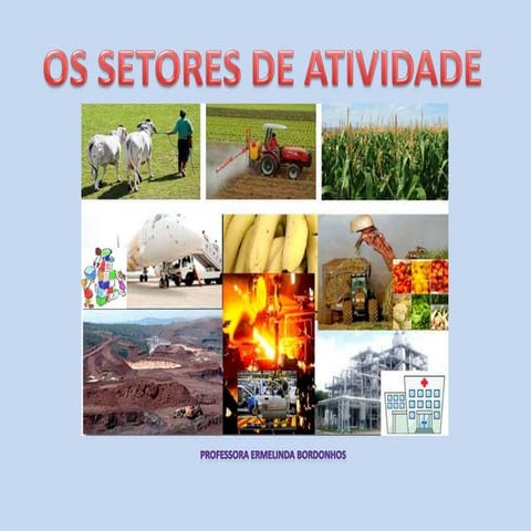 Setores de atividade ppt
