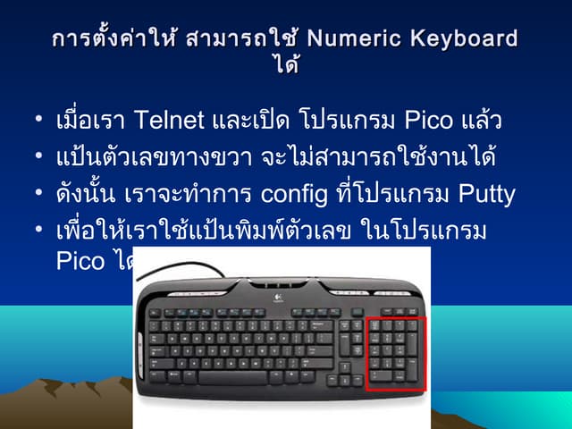Set putty to use numeric keyboard in pico