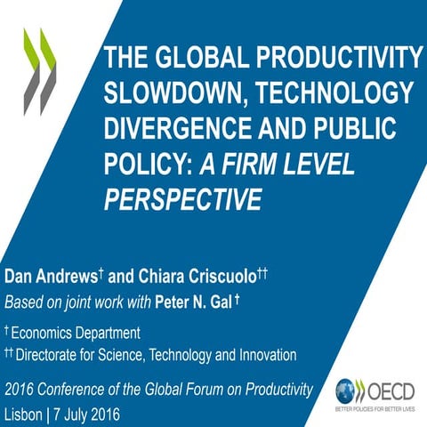 The Global Productivity Slowdown, Technology Divergence and Public Policy: A ...