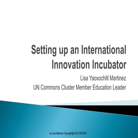 Setting up an International Innovation Incubator