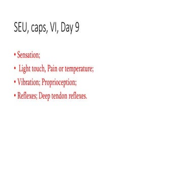 SEU, caps, VI, day 9.pptx vsjsjdndjkdkdjdjdjdjd