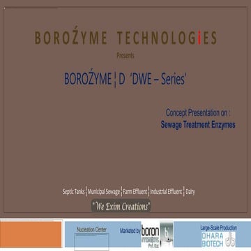 BoroZyme D - DWE Series (Sewage Treatment Enzymes)