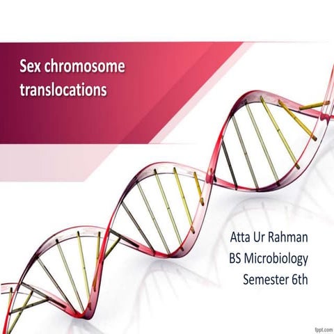 Sex chromosome translocation 