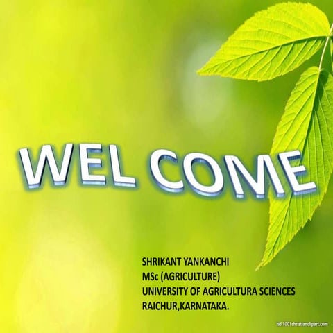 Sex determination in plants